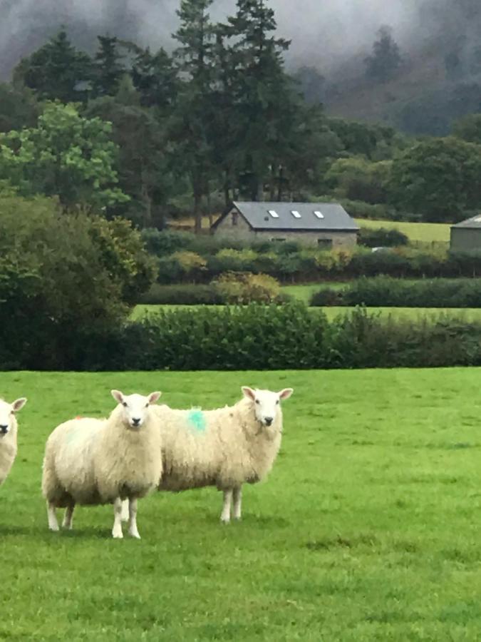 Chic Cottage Near Elan Valley And Builth Wells Llanwrthwl Ngoại thất bức ảnh