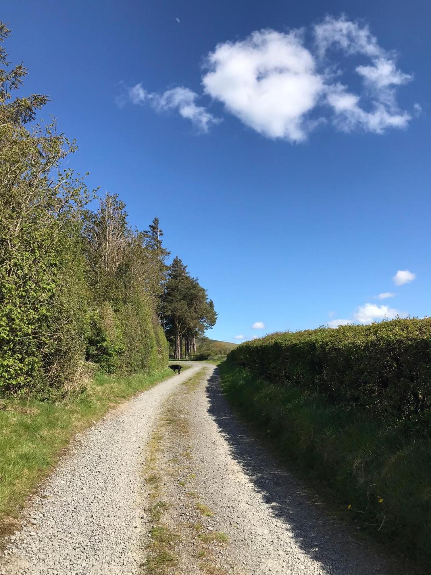 Chic Cottage Near Elan Valley And Builth Wells Llanwrthwl Ngoại thất bức ảnh